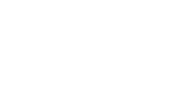 Logo Siengine.